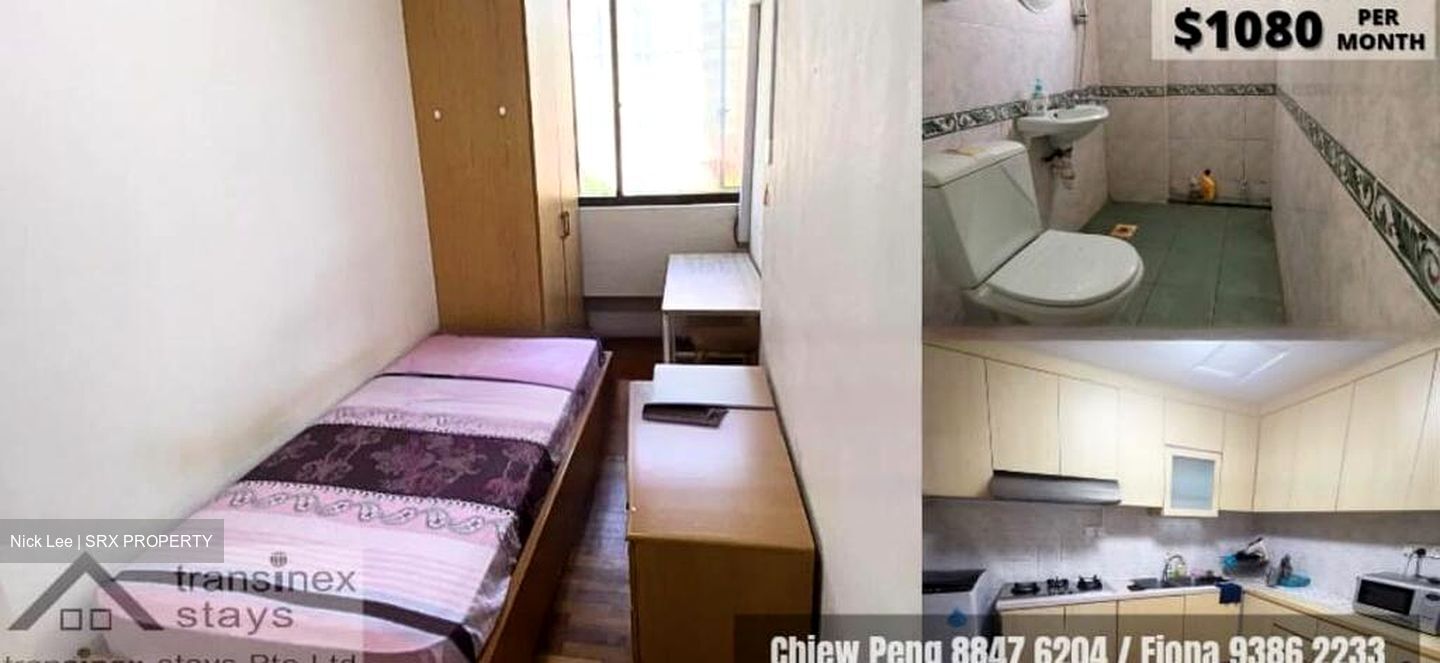 Balestier Plaza (D12), Apartment #481358381